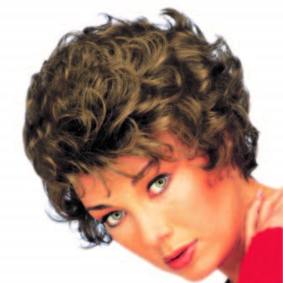 Salt & Pepper Wig - Picture 3 of 10